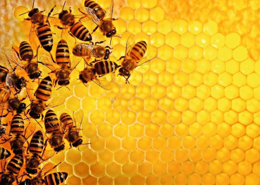 Ravensburger Challenge Puzzle Bees | Explore the Buzz 1000-Piece Puzzle | Ages 14+