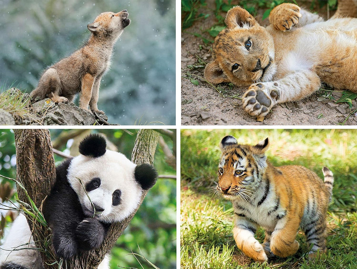 Clementoni Wildlife | 20+60+80+180pcs Puzzle Set | SuperColor Kids Collection