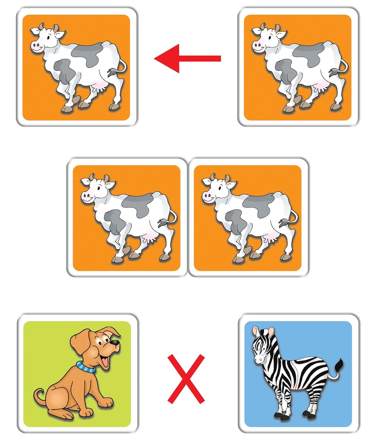 Frank Animal Pairs 48 Cards | Kids Memory Matching Game | Early Learner Toy