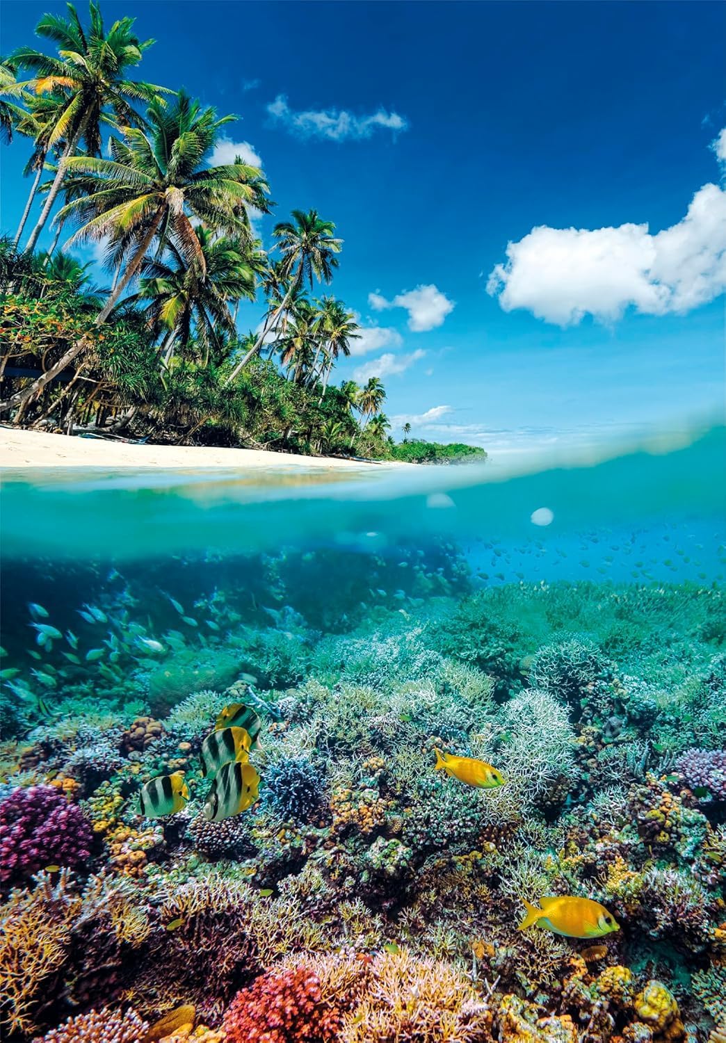 Clementoni Summer Paradise 1000-Piece Jigsaw Puzzle