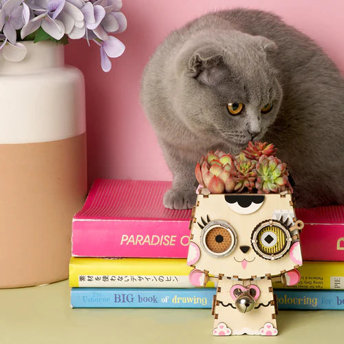 Robotime Pot Kitty | DIY Miniature Plant Craft | Cute Desk Decor
